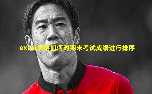 excel表格如何对期末考试成绩进行排序
