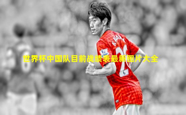世界杯中国队目前战绩表最新图片大全