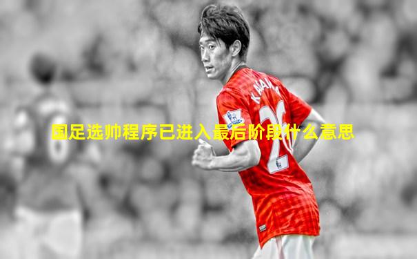 国足选帅程序已进入最后阶段什么意思