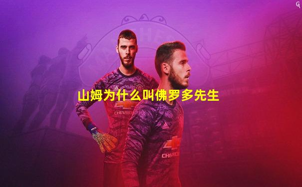 山姆为什么叫佛罗多先生
