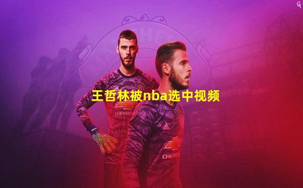 王哲林被nba选中视频