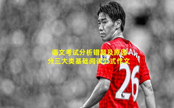 语文考试分析错题及原因分三大类基础阅读公式作文