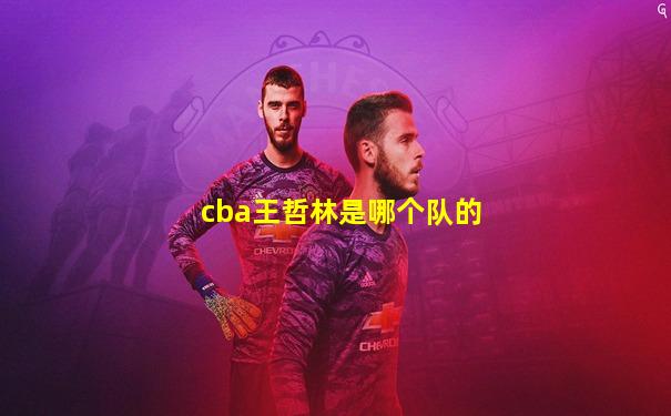 cba王哲林是哪个队的