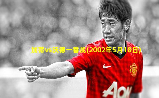 加蒂vs沃德一番战(2002年5月18日)