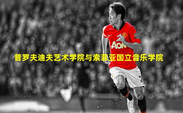 普罗夫迪夫艺术学院与索菲亚国立音乐学院
