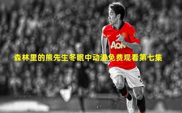 森林里的熊先生冬眠中动漫免费观看第七集