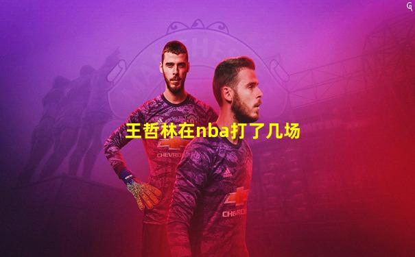 王哲林在nba打了几场